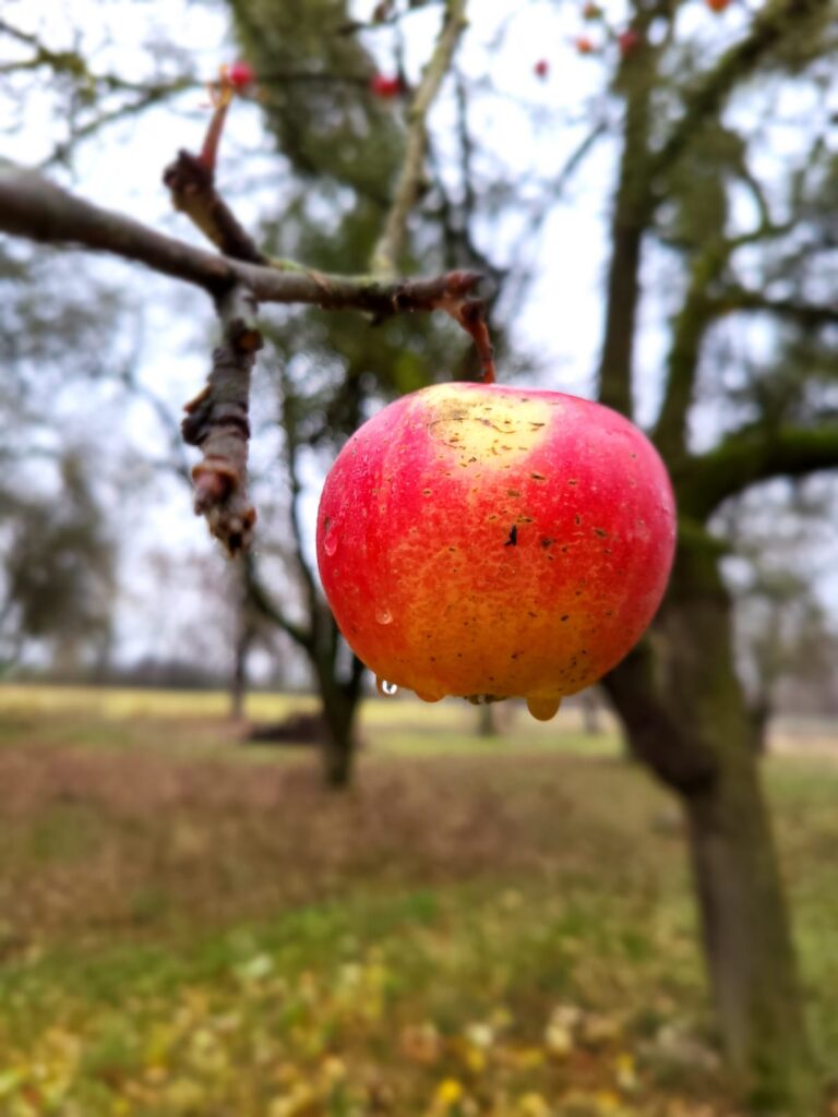 Akademia Dobrego Stanu kursy MBSR